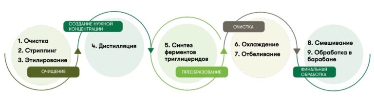 Как производится извлечение и очистка рыбьего жира